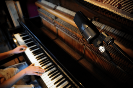 sE Electronics X1 S – mikrofon pojemnościowy wielkomembranowy